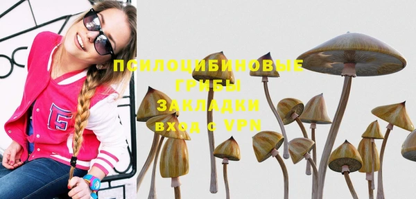 каннабис Арсеньев